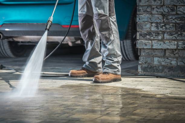 Best Roof Washing  in Cahokia, IL